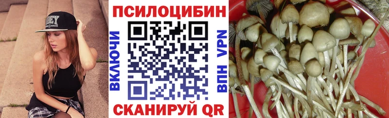 Купить закладки  Медвежьегорск  Псилоцибиновые грибы GOLDEN TEACHER 